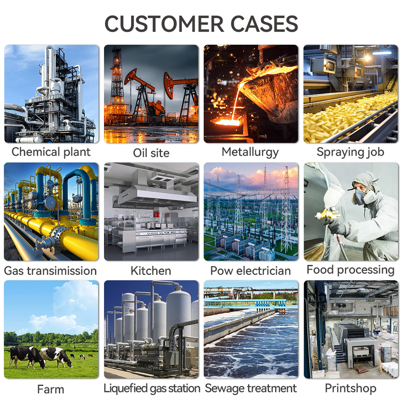 Industrial Gas Detector - ATEX & SIL2 Certified High-Precision 4-20mA/RS485 IP66 Waterproof for Hazardous Areas